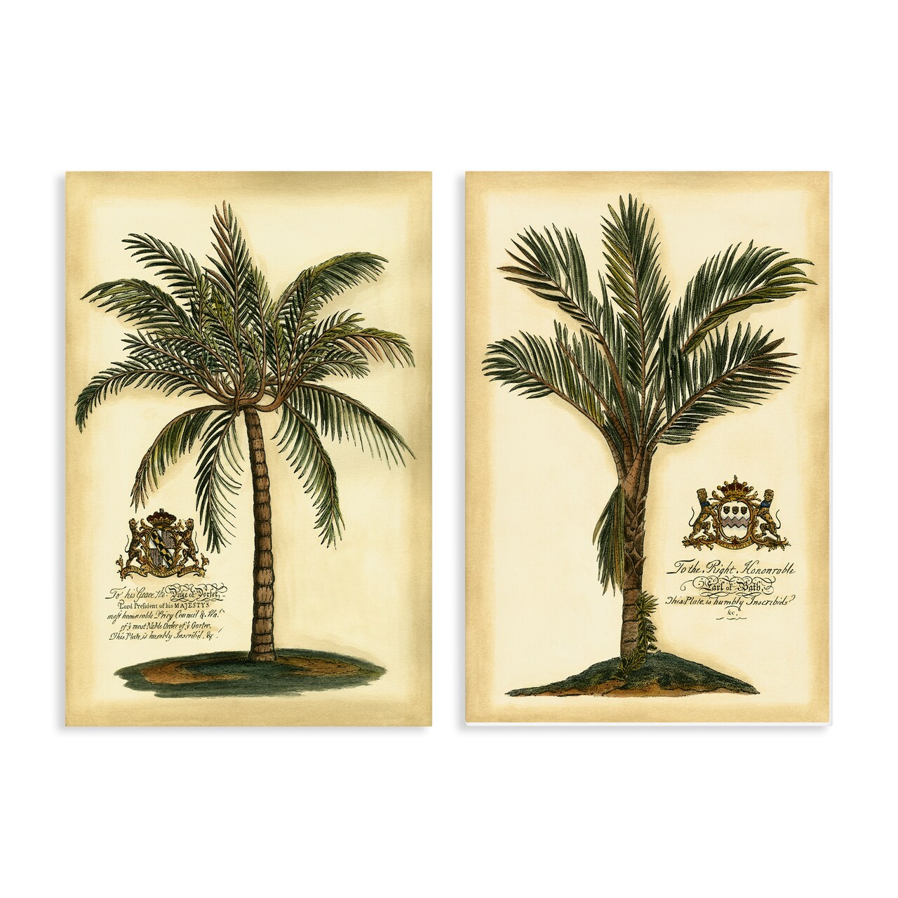 Stupell Industries Vintage Historical Palms 2pc Canvas Set, design by Vision Studio